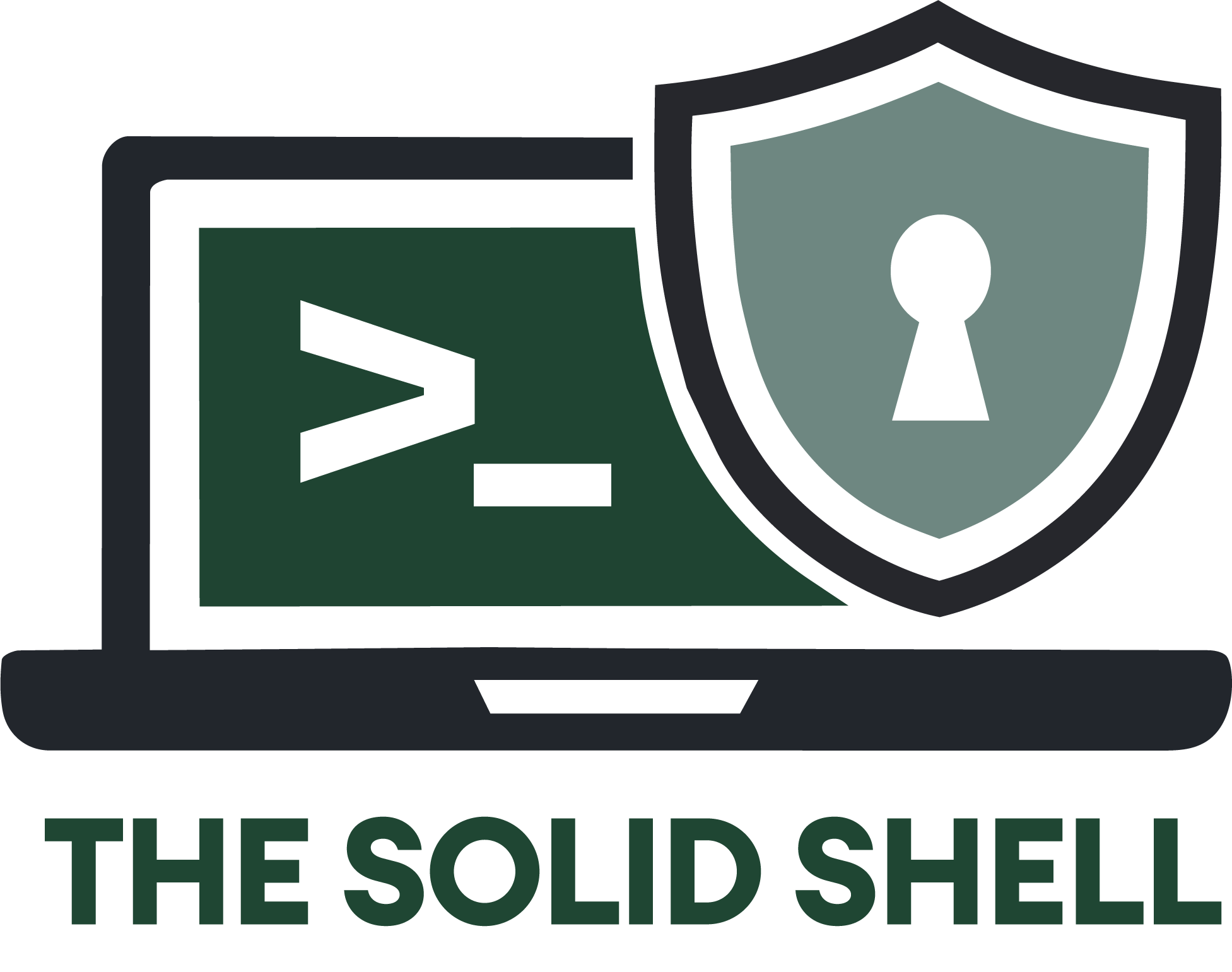 The Solid Shell